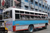 Free bus service to jackfruit mela at Pilikula